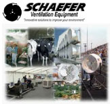 Schaefer